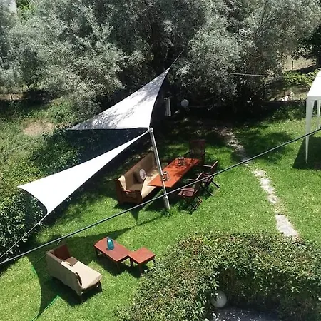 Lygia Λυγιά